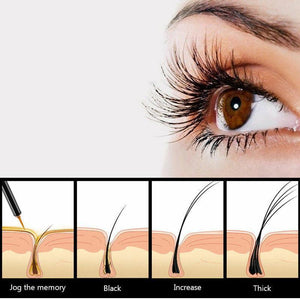 Eyelash & Eyebrow Growth Enhancer Bundle